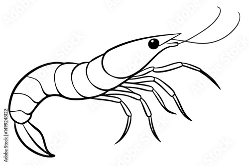 shrimp silhouette line art vector illustration with a white background