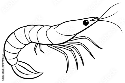 shrimp silhouette line art vector illustration with a white background