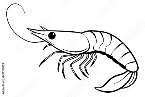 shrimp silhouette line art vector illustration with a white background