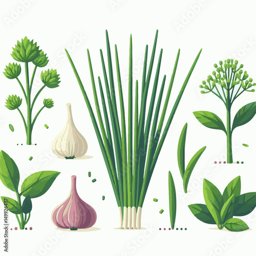 plant, green, chives, fresh, agriculture, rural, colorful, nature, garden, view, spring, scenery, growth, park, urban, leaf, season, beautiful, scent, allium, schoenoprasum, seed, vivid, species, zuri