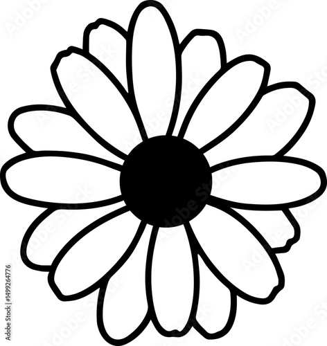 daisy flowers 