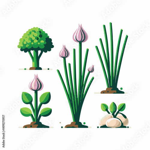 plant, green, chives, fresh, agriculture, rural, colorful, nature, garden, view, spring, scenery, growth, park, urban, leaf, season, beautiful, scent, allium, schoenoprasum, seed, vivid, species, zuri