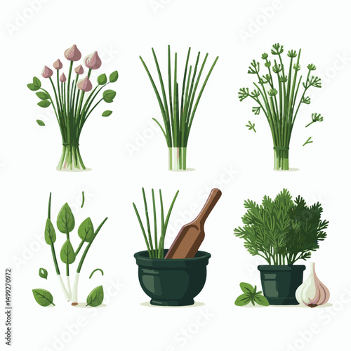 plant, green, chives, fresh, agriculture, rural, colorful, nature, garden, view, spring, scenery, growth, park, urban, leaf, season, beautiful, scent, allium, schoenoprasum, seed, vivid, species, zuri