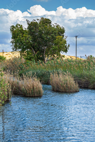 Israel mountain Gilboa beautiful landscape
