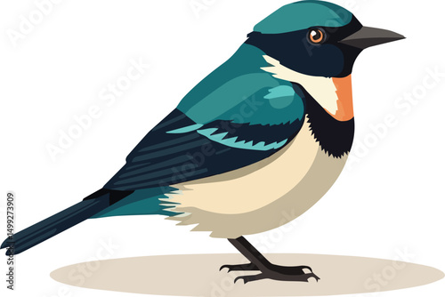 penguin on a white background