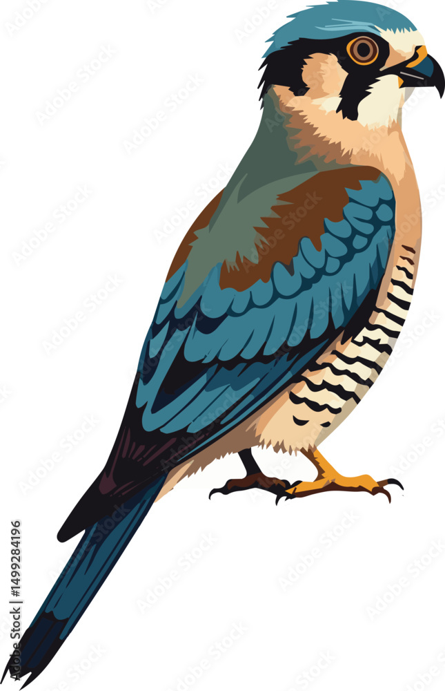 Fototapeta premium blue tit isolated on white background