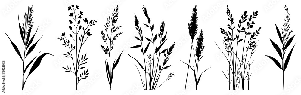 Fototapeta premium PNG Silhouette botanical grass illustrations, element set on transparent background