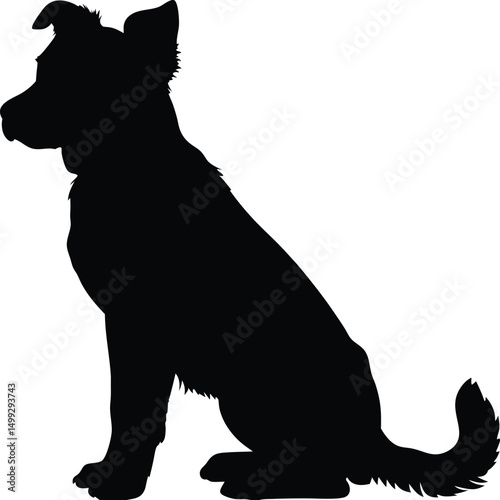Black Silhouette of a Sitting Border Collie Puppy
