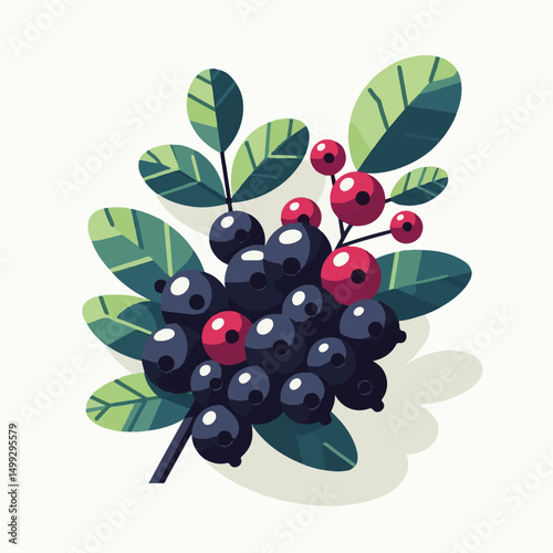 chokeberry, nature, leaf, plant, aronia, berry, fruit, black, ripe, branch, food, green, fresh, healthy, natural, garden, background, nutrition, organic, bush, berries, autumn, raw, closeup, leaves, h
