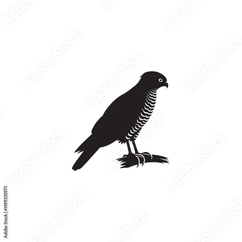 **"Swift Cooper’s Hawk Vector Silhouette: Fierce Raptor Design Featuring Sharp Talons, Streamlined Body, and Intense Gaze in Clean, Minimalist Style for Crafts and Digital Art"**
