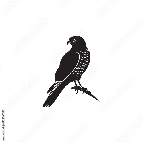 **"Swift Cooper’s Hawk Vector Silhouette: Fierce Raptor Design Featuring Sharp Talons, Streamlined Body, and Intense Gaze in Clean, Minimalist Style for Crafts and Digital Art"**
