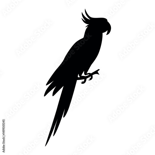 Black parrot silhouette on branch exotic bird vector