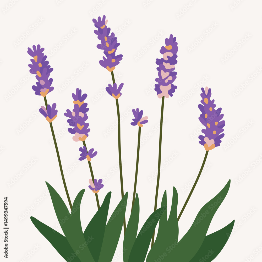 Naklejka premium Bunch lavender flowers, hand drawn art. Simple cartoon floral vector design