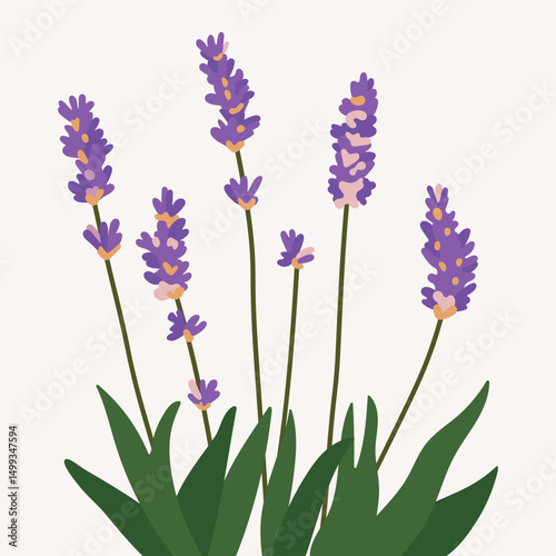 Bunch lavender flowers, hand drawn art. Simple cartoon floral vector design