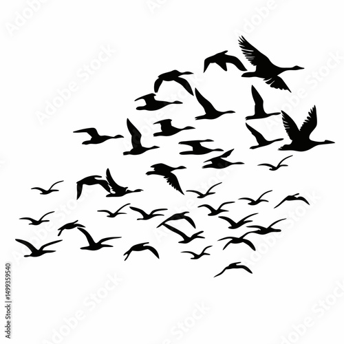 Flying birds flock silhouettes against the sky