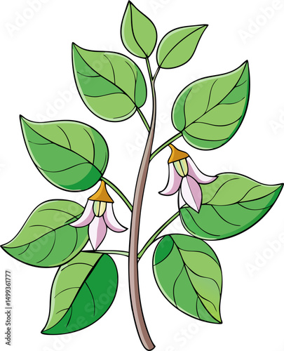Buck-bean flowers  vector line art icon white background 