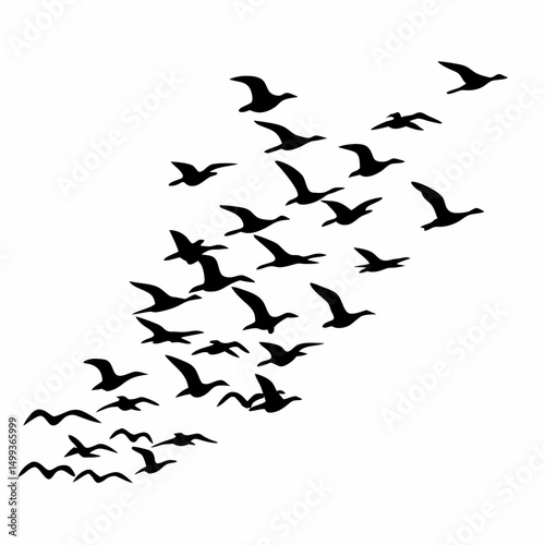 Black silhouette of a flock of birds flying freely in the sky