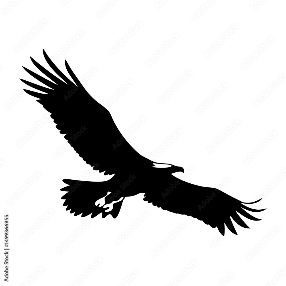 Obraz premium Flying eagle silhouette with outstretched wings against a white background, symbolizing freedom and wild nature