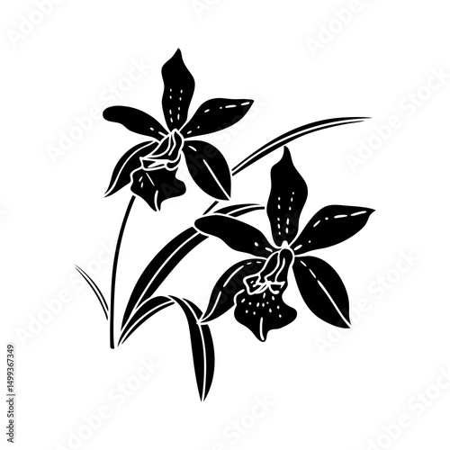 Orchid flower vector, silhouette of orchid flower, flower vector, black and white.eps