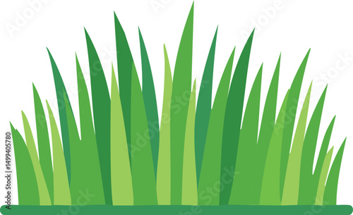 green grass isolated on white background