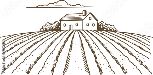 Rustic farmhouse landscape with cultivated fields and cloudy sky in vintage illustration