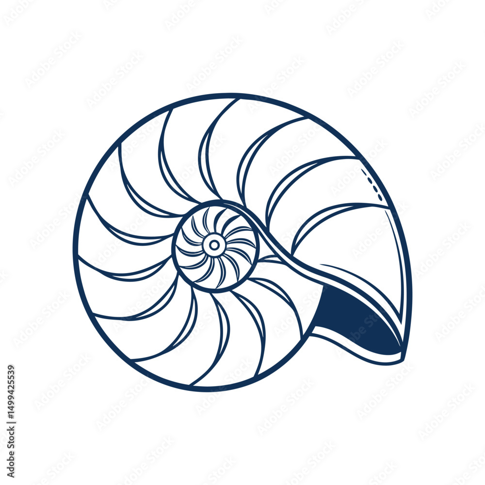 Obraz premium nautilus shell vector illustration