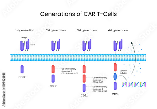 Generations of CAR T Cells Schematic Overview