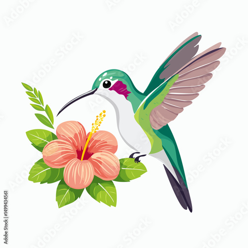 hummingbird drinks from the flower vector