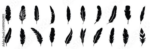Abstract black bird feather icons. Feather silhouette collection. Elegance feather element decoration. Feather icons. Vector
