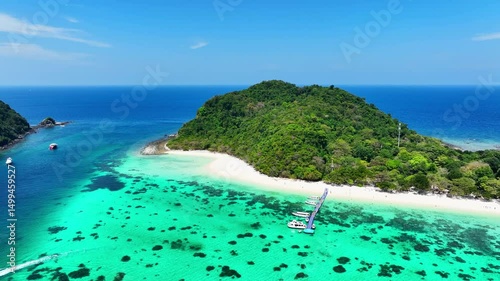 Aerail view of green forest island and the sea. natural ecosystems of forests and oceans. concept of natural forest conservation