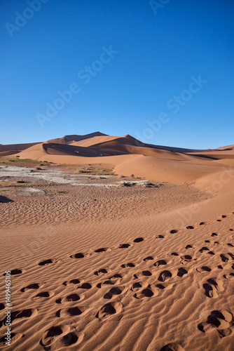 Fototapeta Naklejka Na Ścianę i Meble -  DEAD VLEI IN NAMIBIA