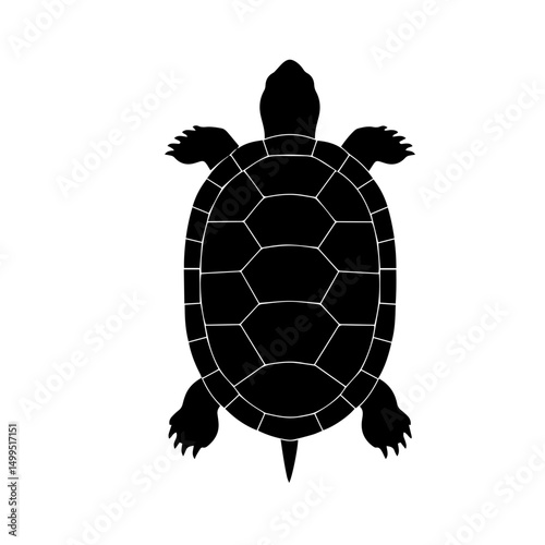 Silhouette of a Turtle Showing Detailed Shell and Limbs