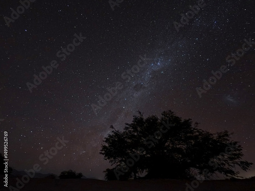Un arbol y de fondo la via lactea desde el Desierto de Atacama, Chile