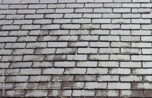Wallpaper Mural Dark grey slate roof tiles Torontodigital.ca