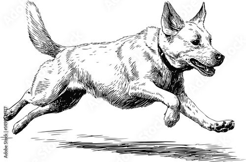 Illustration of a playful dog jumping with joyful expression in black and white. Vector illustration