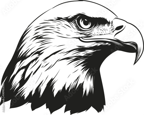 Black and white illustration of an eagle head with sharp features. Vector illustration