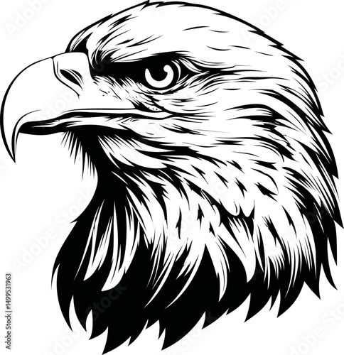 Black and white illustration of an eagle head in profile, fierce and majestic. Vector illustration