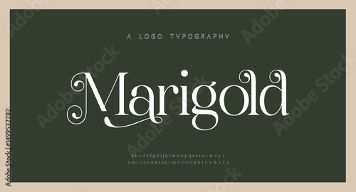Elegant alphabet letters font logo. Typography luxury classic lettering serif italic fonts decorative wedding vintage retro logos. vector illustration