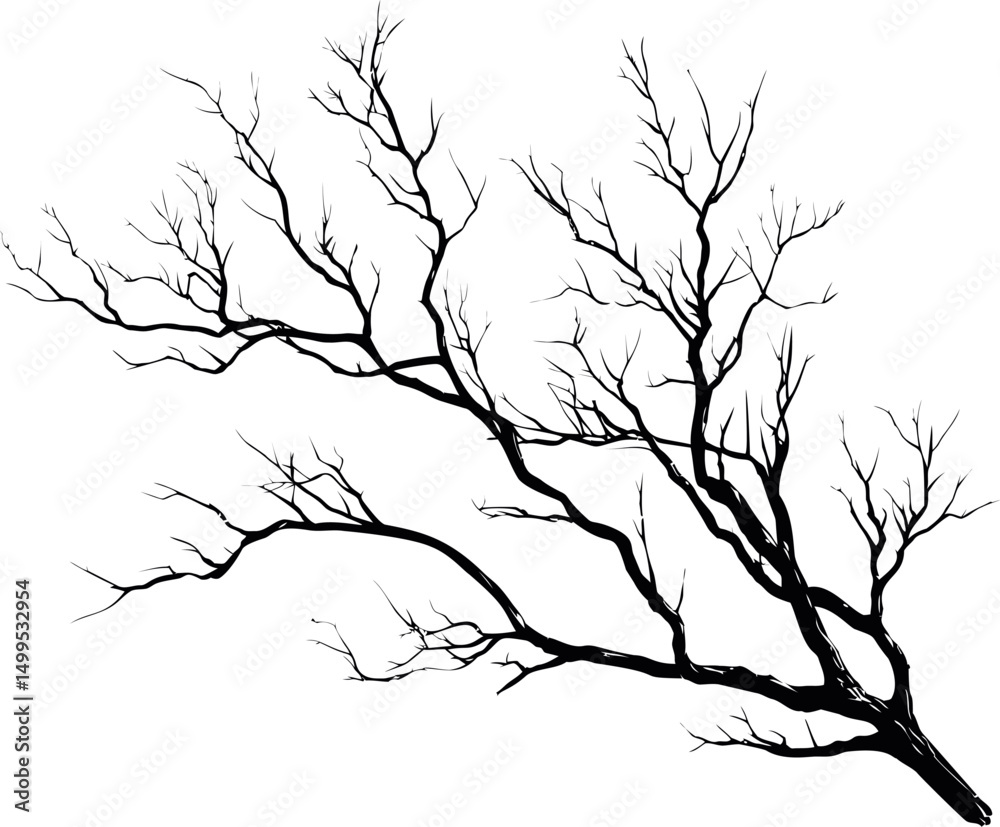 Fototapeta premium Silhouette of bare tree branch against, artistic illustration. Vector illustration