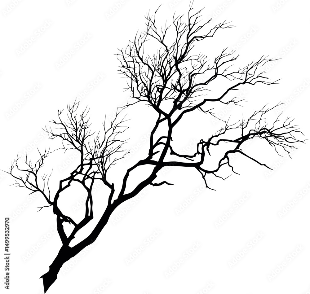 Fototapeta premium Silhouetted bare tree branch against. Vector illustration