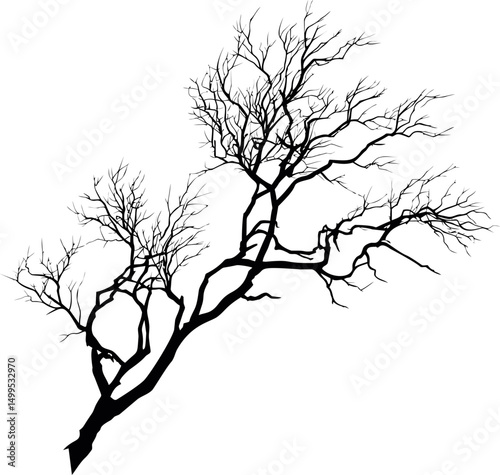 Silhouetted bare tree branch against. Vector illustration