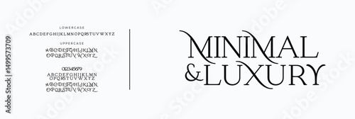 Elegant Font Uppercase Lowercase and Number. Classic Lettering Minimal Fashion Designs. Typography modern serif fonts regular decorative vintage concept. vector illustration