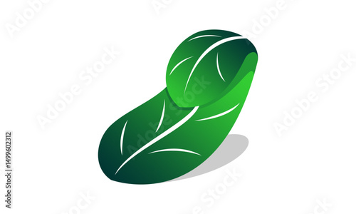 Beautiful curled leaf design vector
