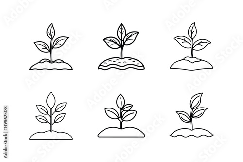 seedling in soil line art vector illustration