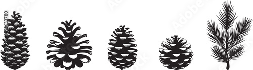 Pine Cones set silhouette vector