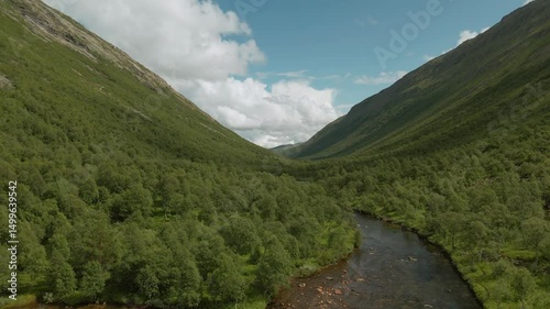 Mountain river flowing through green valley