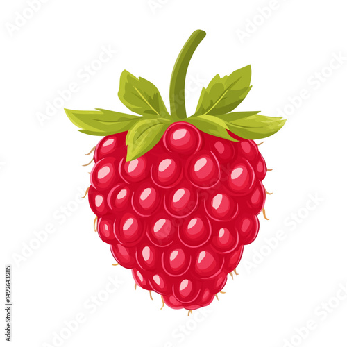 My Simple flat 2D icon whole raspberry isolated on transparent background, vector, flat design, animation design, simple flat 2D icon, minimalist design, clipart