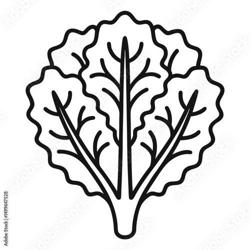 Kale outline  icon on white background