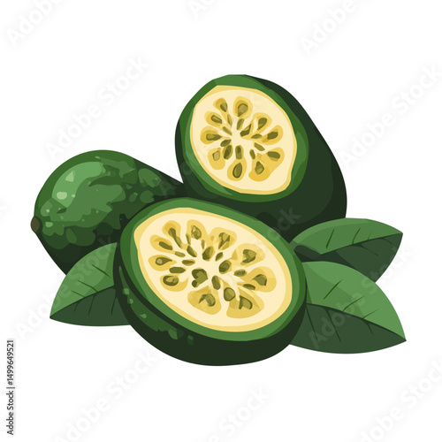 My very Simple flat 2D icon, sliced feijoa isolated on a white background, vector, flat design, animation design, simple flat 2D icon, minimalist design, vector design, eps