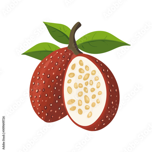 My very Simple flat 2D icon, whole salak fruit isolated on a white background, vector, flat design, animation design, simple flat 2D icon, minimalist design, vector design, eps